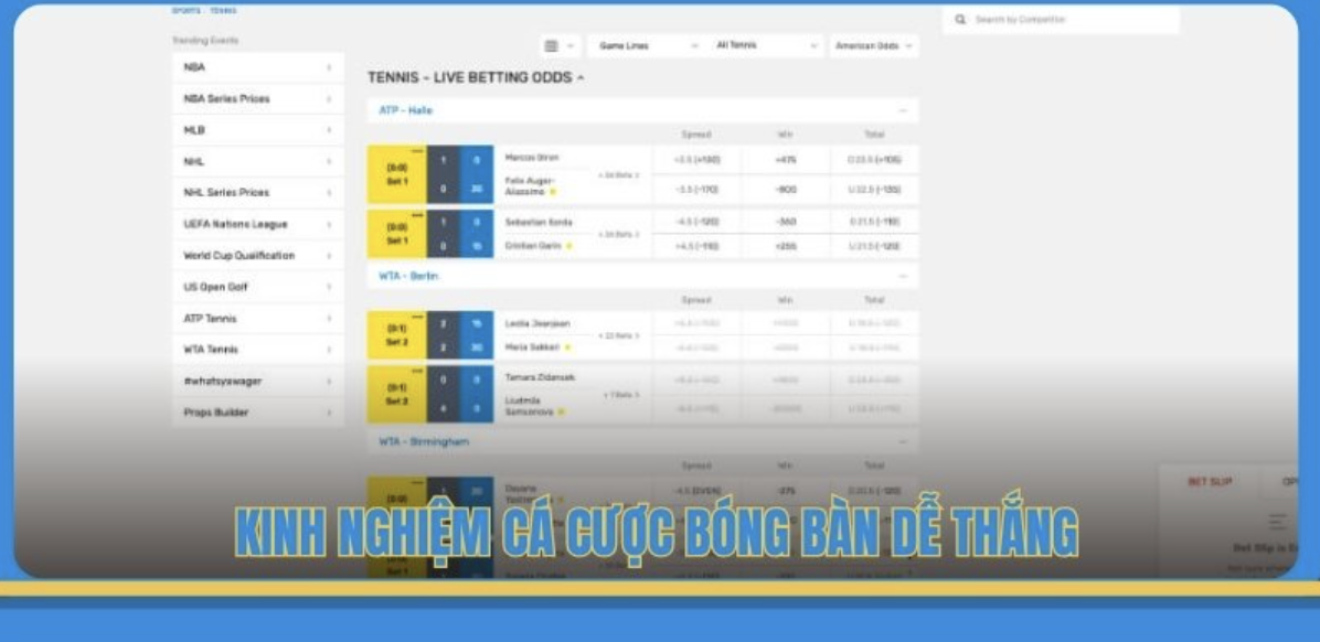 Table Tennis Betting Experience for Easy Wins